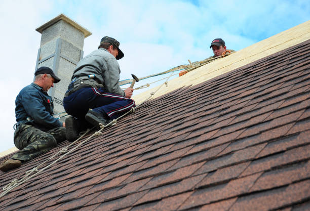 Quick and Trustworthy Emergency Roof Repair Services in Northview, MI